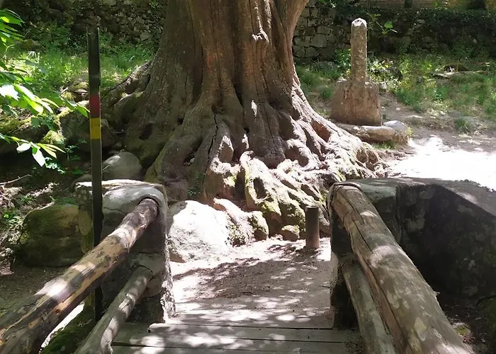 El Castillo Lejlighed